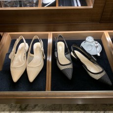 [QR 5009] 디올 Chris...