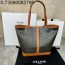 JXG 셀린느 미디엄 버킷 트리옹프 캔버스 블랙 31.5*31.5*16cm 115072 