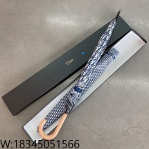 AGG 디올 오블리크 우산 블루