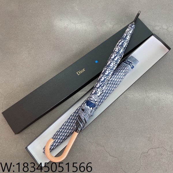 AGG 디올 오블리크 우산 블루