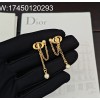 AGG 디올 CD 태슬 귀걸이 골드 신주소재
