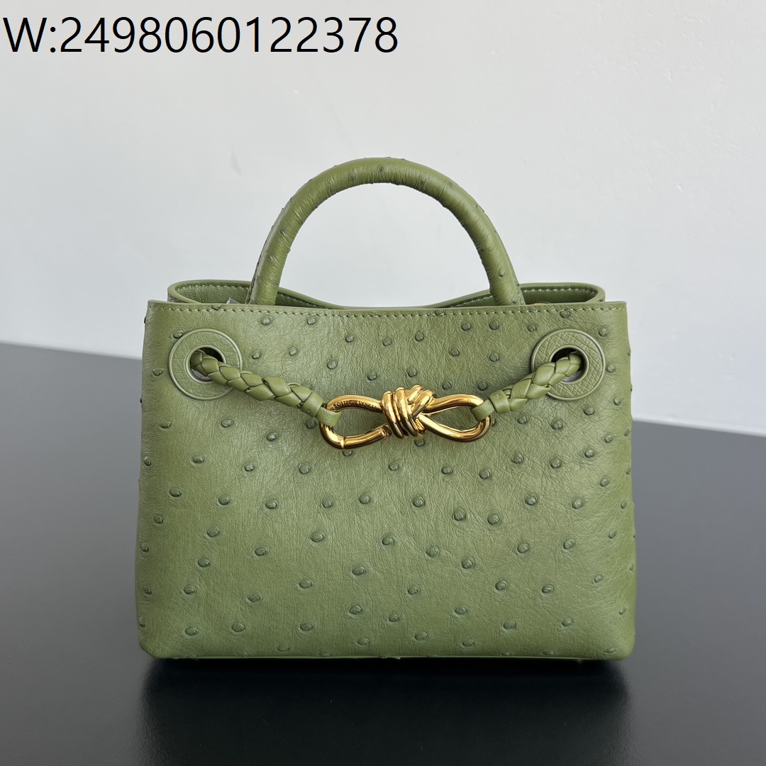 징 팩토리 보테가베네타 미니 안디아모 그린 805232 20*15*7cm 타조가죽